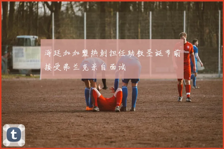 海廷加加盟热刺担任助教圣诞节前接受弗兰克亲自面试