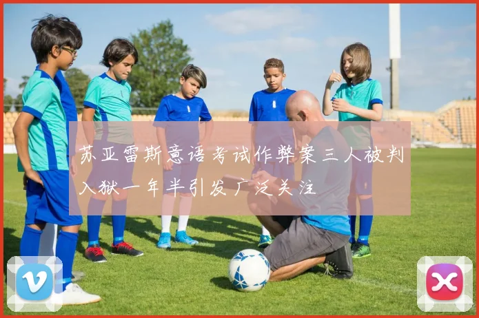 苏亚雷斯意语考试作弊案三人被判入狱一年半引发广泛关注
