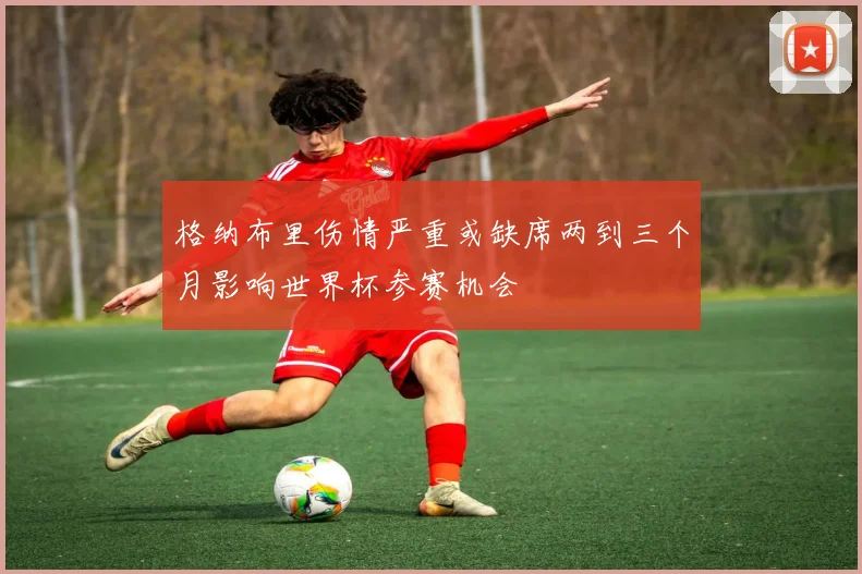 格纳布里伤情严重或缺席两到三个月影响世界杯参赛机会